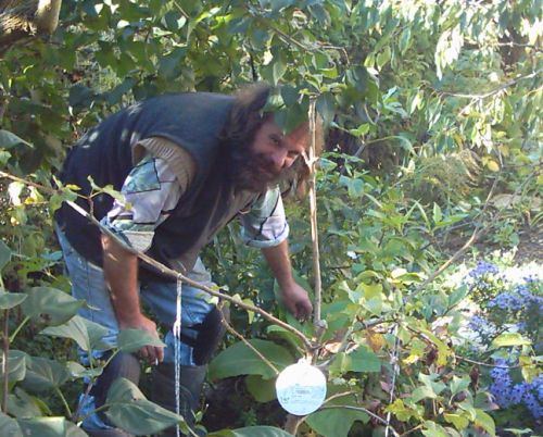 Bernd vor seinen Tabakpflanzen